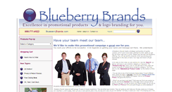 Desktop Screenshot of blueberrybrands.com